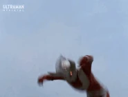 SwallowKick.gif (7.91 MB) Swallow Kick