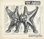 82cff456a287b12a14c5e61356bb45ad.jpg (50 KB) Pestar's Anatomy 1