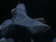 Pestar 1993 HD 03.png (1.33 MB)