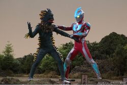 Ginga vs Ragon Cocreco