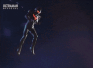 LightningZagi.gif (2.37 MB) Lightning Zagi