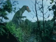 Torara-Izenborg-May-2020-03.jpg (277 KB)