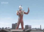 BarrierField.gif (2.76 MB) Barrier Field