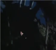 Mognezun Burrowing.png (67 KB) Burrowing