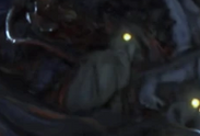 Todola on Belyudra