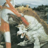 OXTER II.jpg (75 KB)