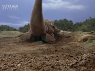 Gomora Burrowing.png (1.08 MB) Menggali