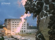 Pair-Mons-King-Mirrorman-February-2022-09.jpg (119 KB)