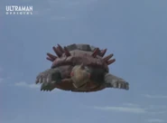 King Tortoise Flight.png (290 KB) Flight