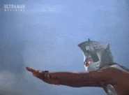 TaroChristmasTree.gif (8.2 MB) Christmas Tree