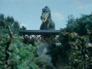 Torara-Izenborg-May-2020-04.jpg (245 KB)