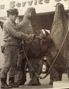 Pestar take da sippy.png (1.1 MB)