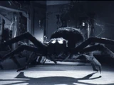 Tarantula