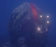 Jelga Monster.jpg