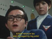 Big-Ants-Mirrorman-December-2021-01.jpg