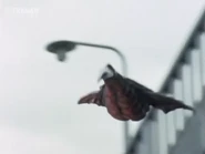 Little Mora Flight.png (574 KB) Flight