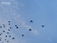 SpaceBatFlight.gif (8.54 MB) Flight