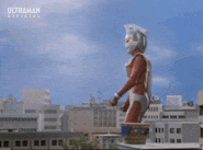 FireDash.gif (9.3 MB) Fire Dash