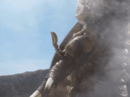 Fl bn.gif (4.61 MB) Flight