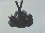 BoasaurusFlight.jpg (37 KB) Flight