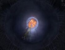 Giant Brain.jpg