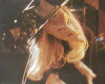 Vary Dimension Witch.jpg