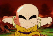 DB Krillin