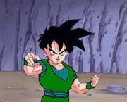 Normal teen gohan
