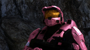 244px-Donut appears