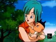 Bulma 2