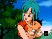 Bulma 2