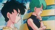 Bulma and Videl