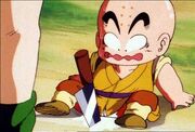 Kid Krillin