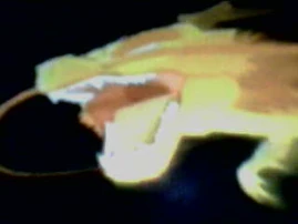 I though shenron was green, is there another?