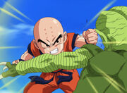 Krillin against a saibaman