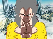 SS6Vegeta