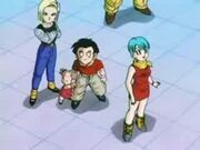 Krillin and the Girls