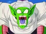 Piccolo2