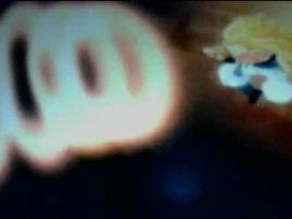 Is he screaming donuts?