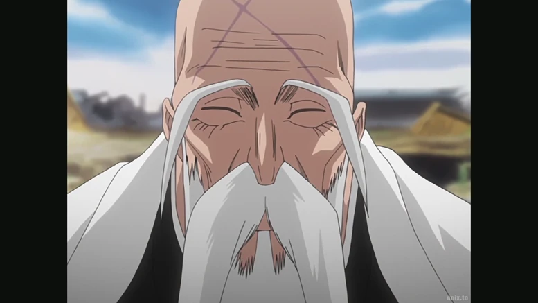 Yamamoto Soul Society Arc