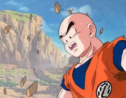 Krillin4