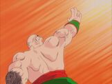 Tien Shinhan Spirit Tri-Beam