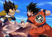 DBZK Fight