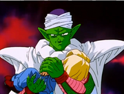 Piccolo the Softie