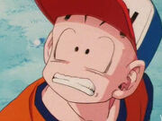 Krillin 2