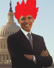 ObamaVegitax