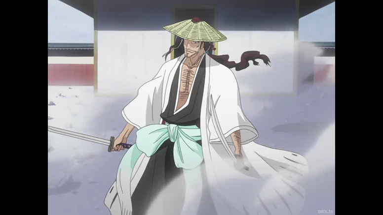 Shunsui Sneak Entry Arc
