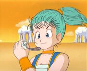 Bulma 4