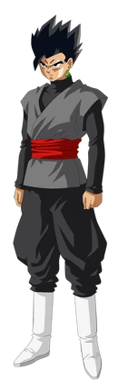 Gohan Black2