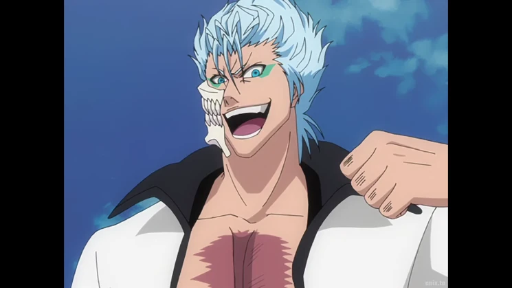 Grimmjow Fierce Fight Arc